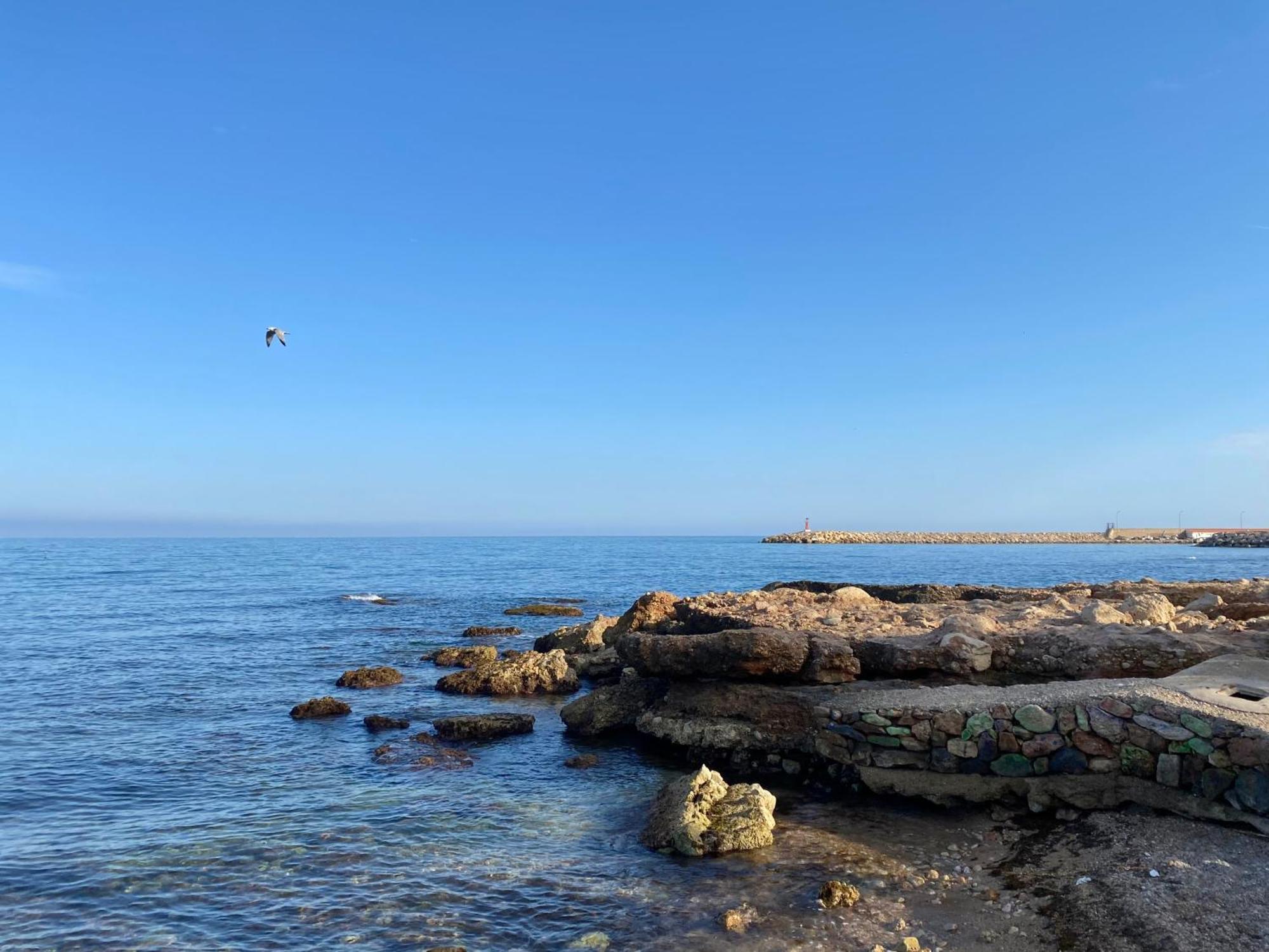 Can Blau Les Cases d'Alcanar Dış mekan fotoğraf